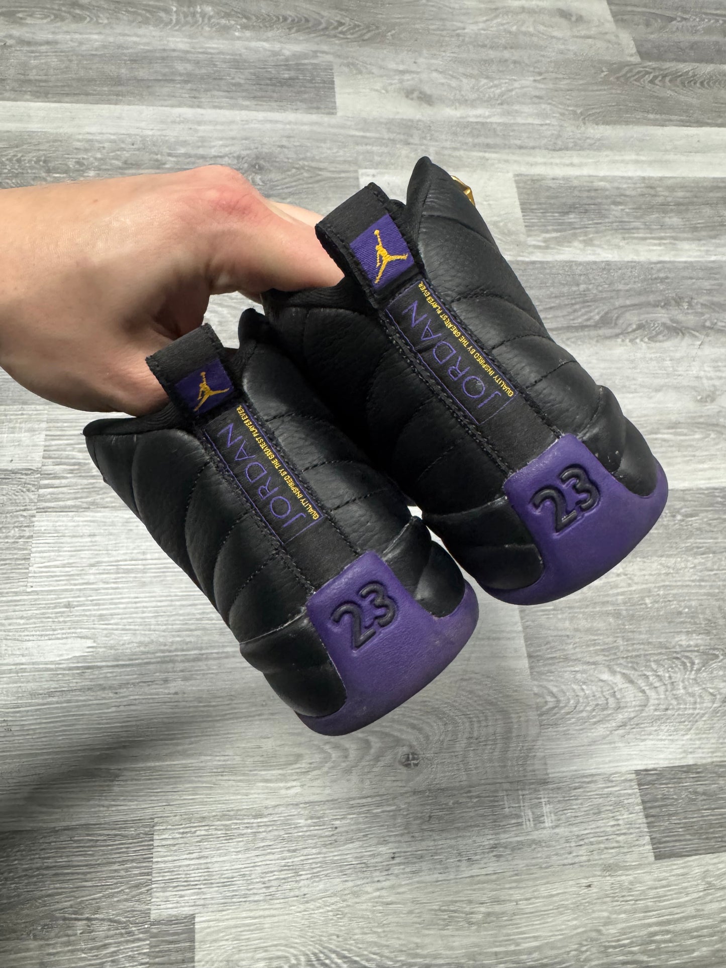 Jordan 12 Field Purple / Preowned