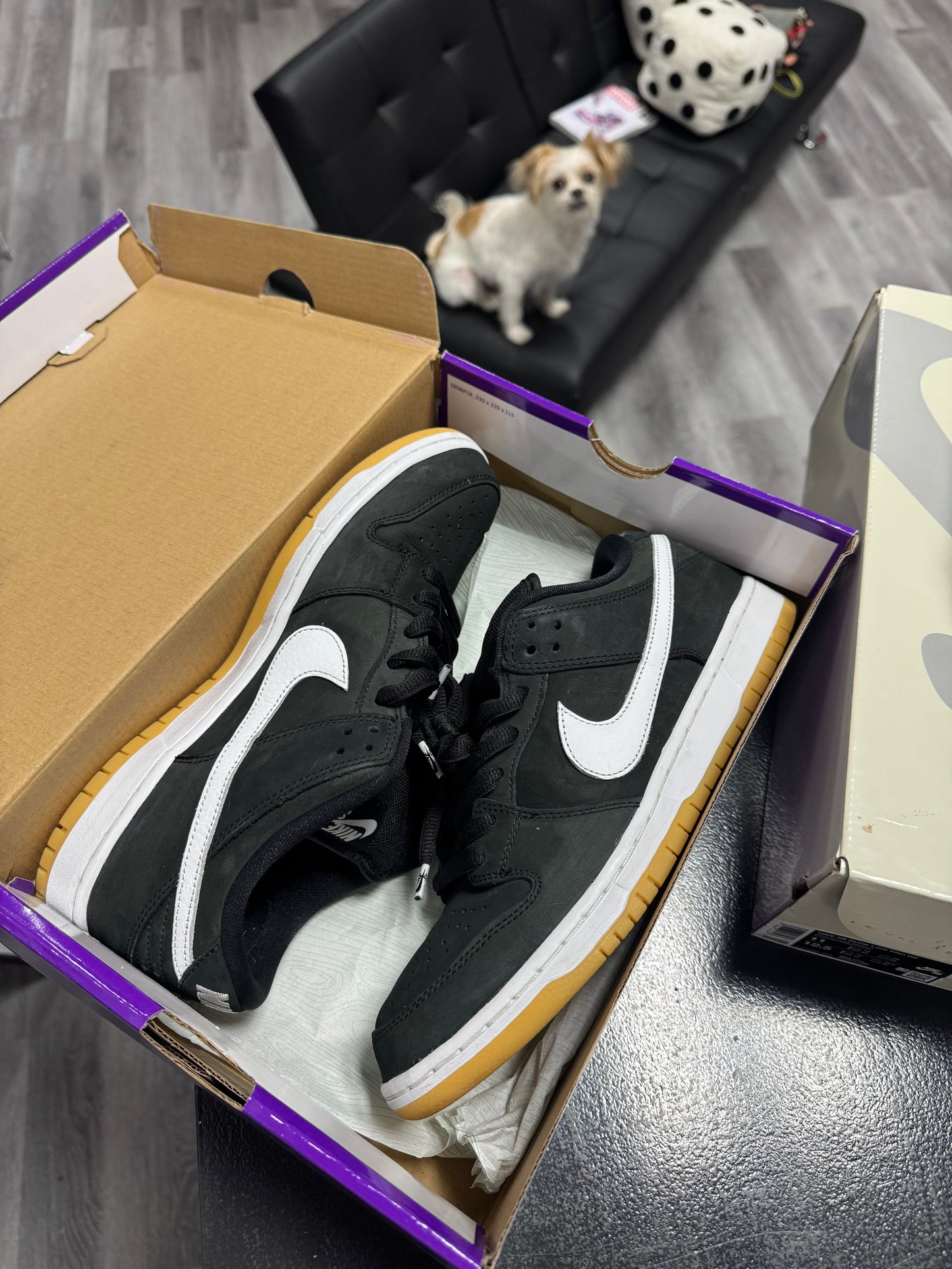 Dunk Low SB Black Gum / Preowned