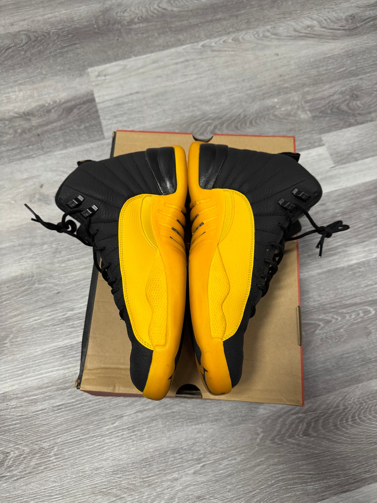 Jordan 12 University Gold / Preowned