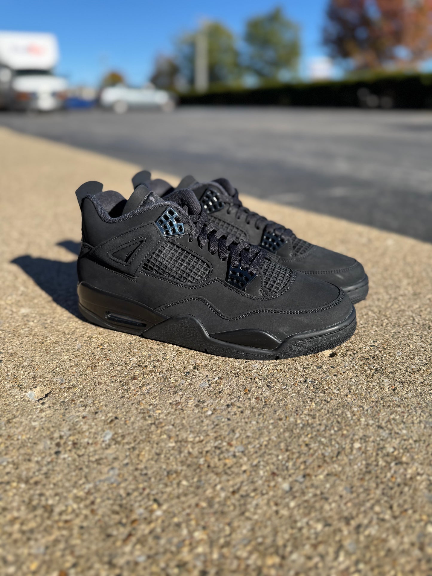 Jordan 4 Black Cat (2025) / Brand New