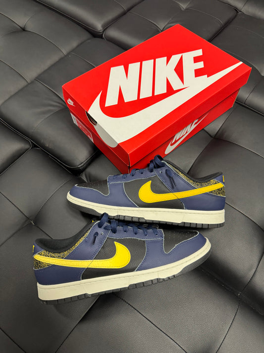 Dunk Low Vintage Michigan / Preowned