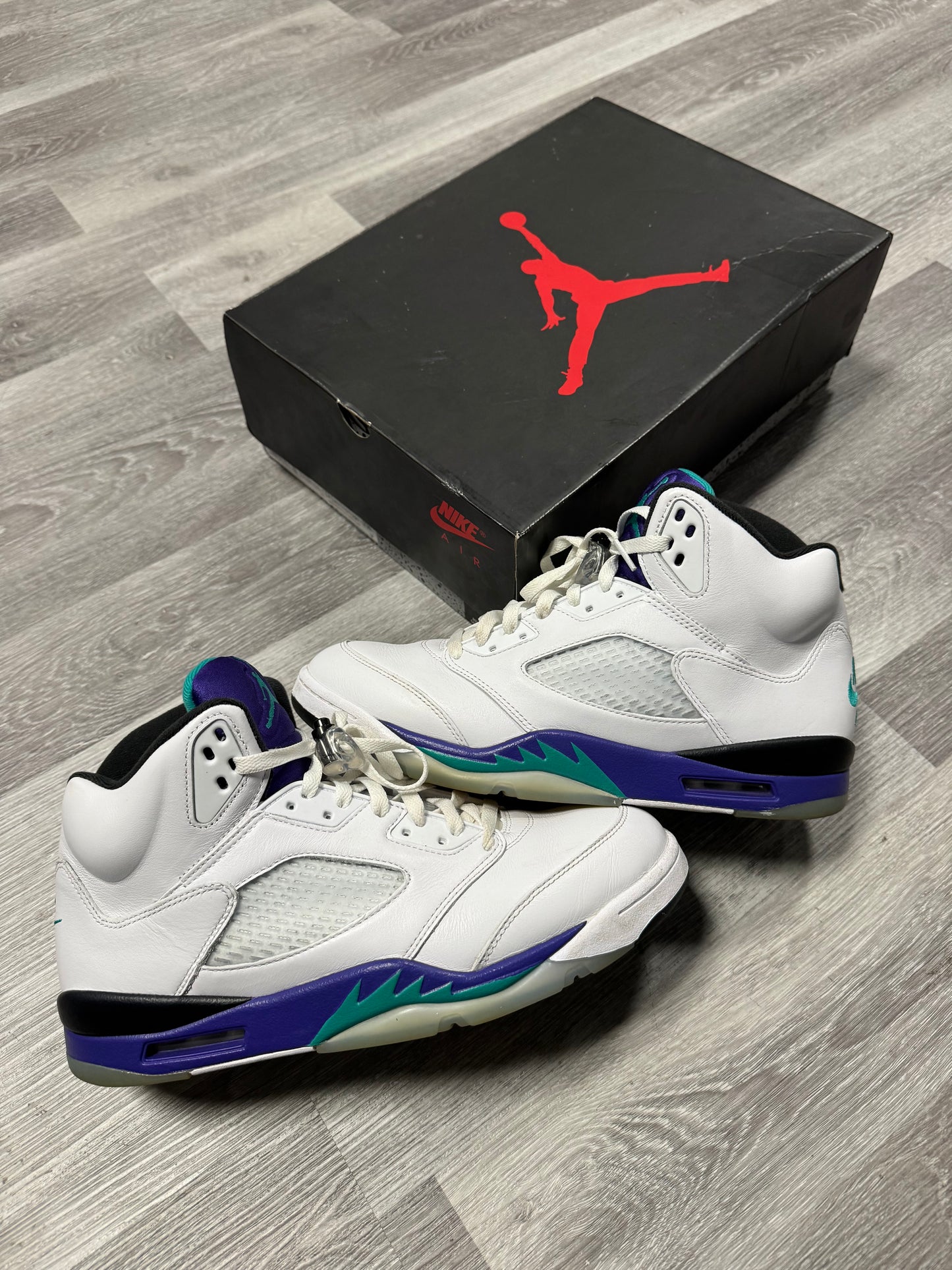 Jordan 5 Grape (2025) / Preowned