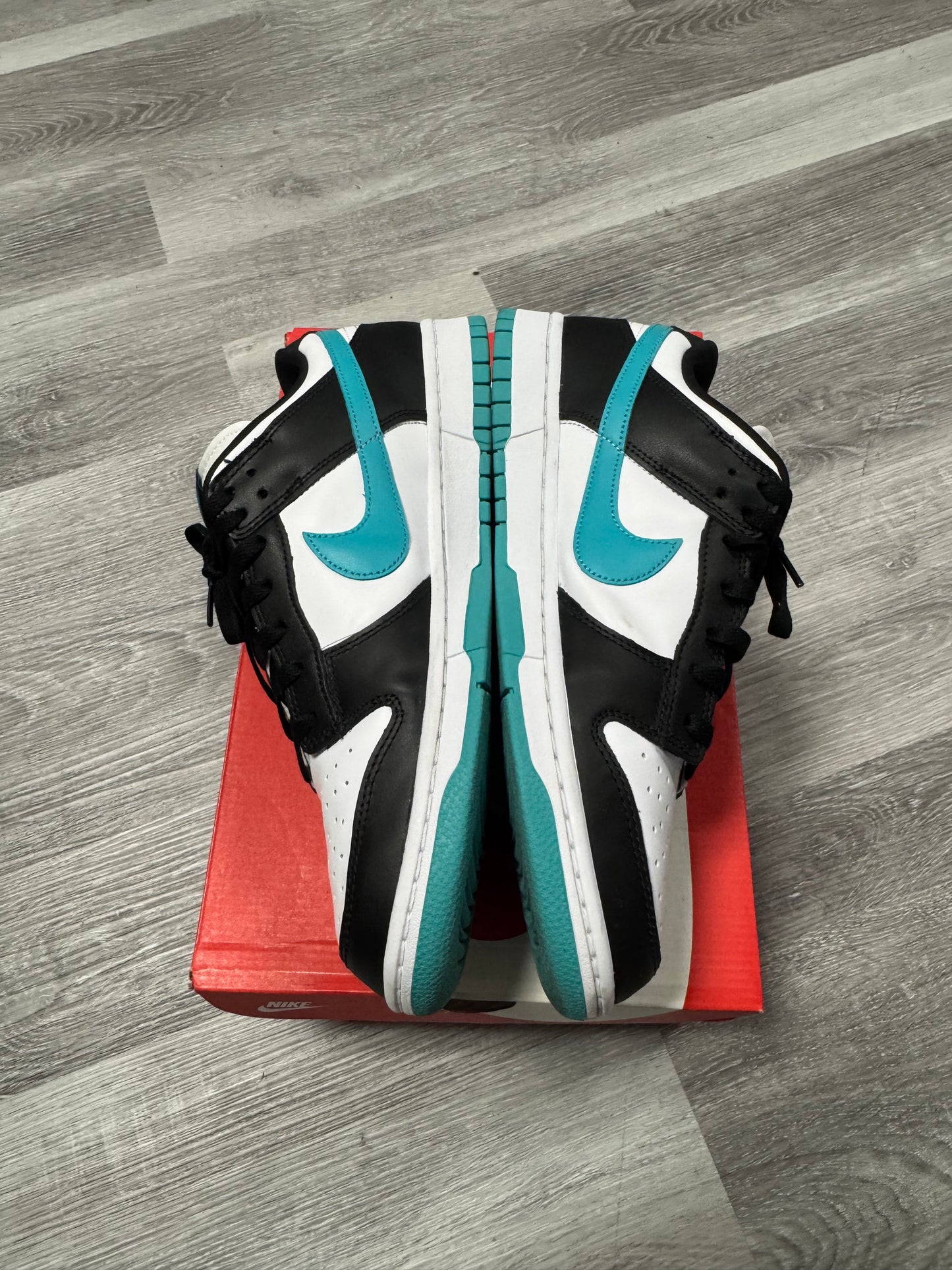 Dunk Low Dusty Cactus Black / Preowned