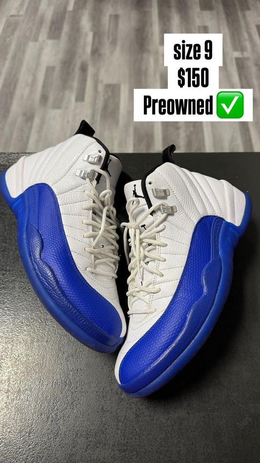 Jordan 12 Blueberry / Preowned