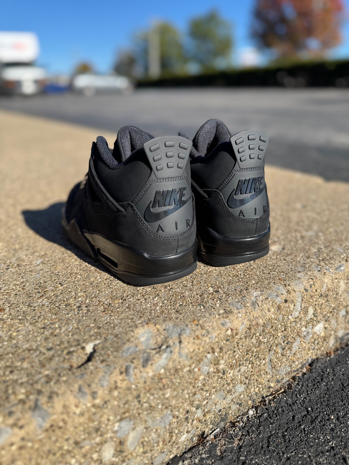 Jordan 4 Black Cat (2025) / Brand New