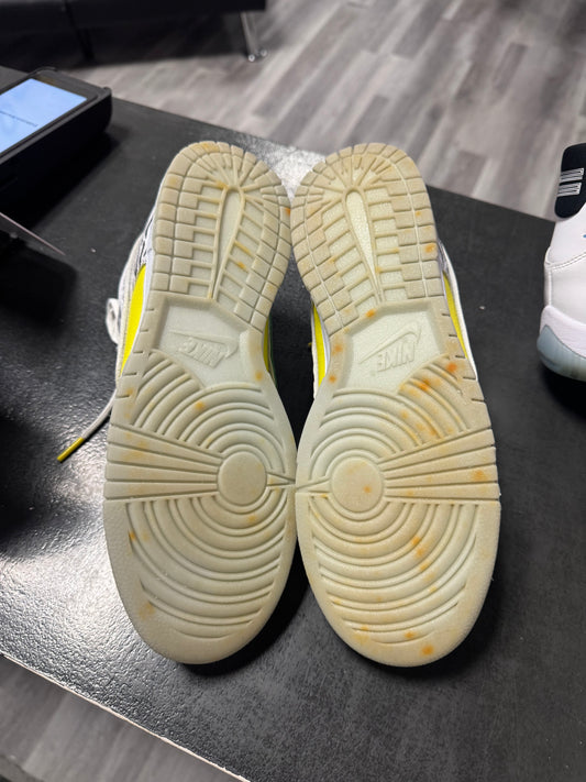 Dunk Low Doernbecher Zoe / Preowned