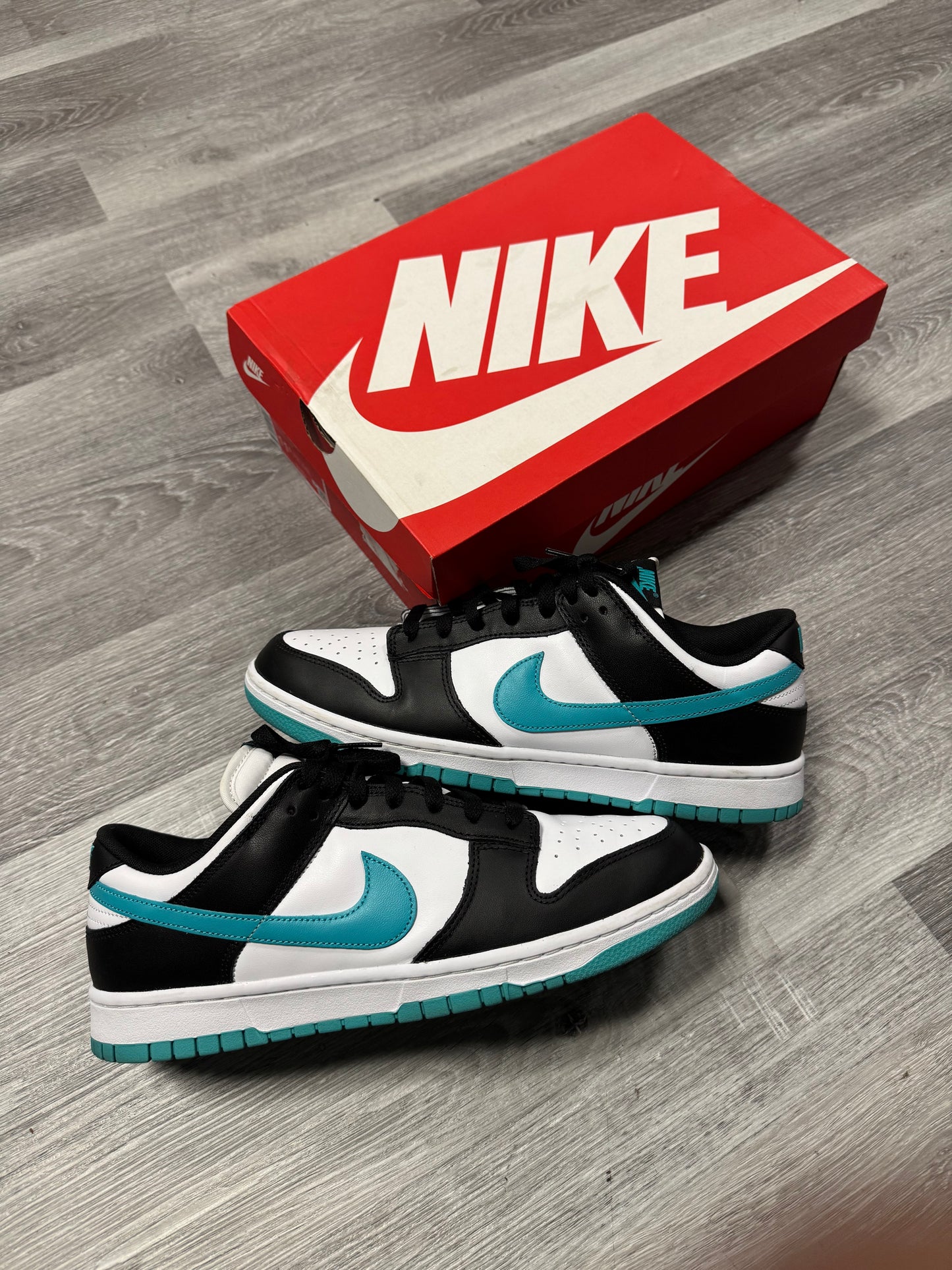 Dunk Low Dusty Cactus Black / Preowned