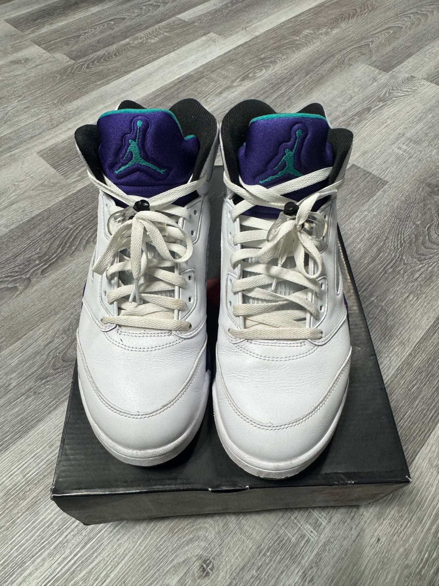 Jordan 5 Grape (2025) / Preowned