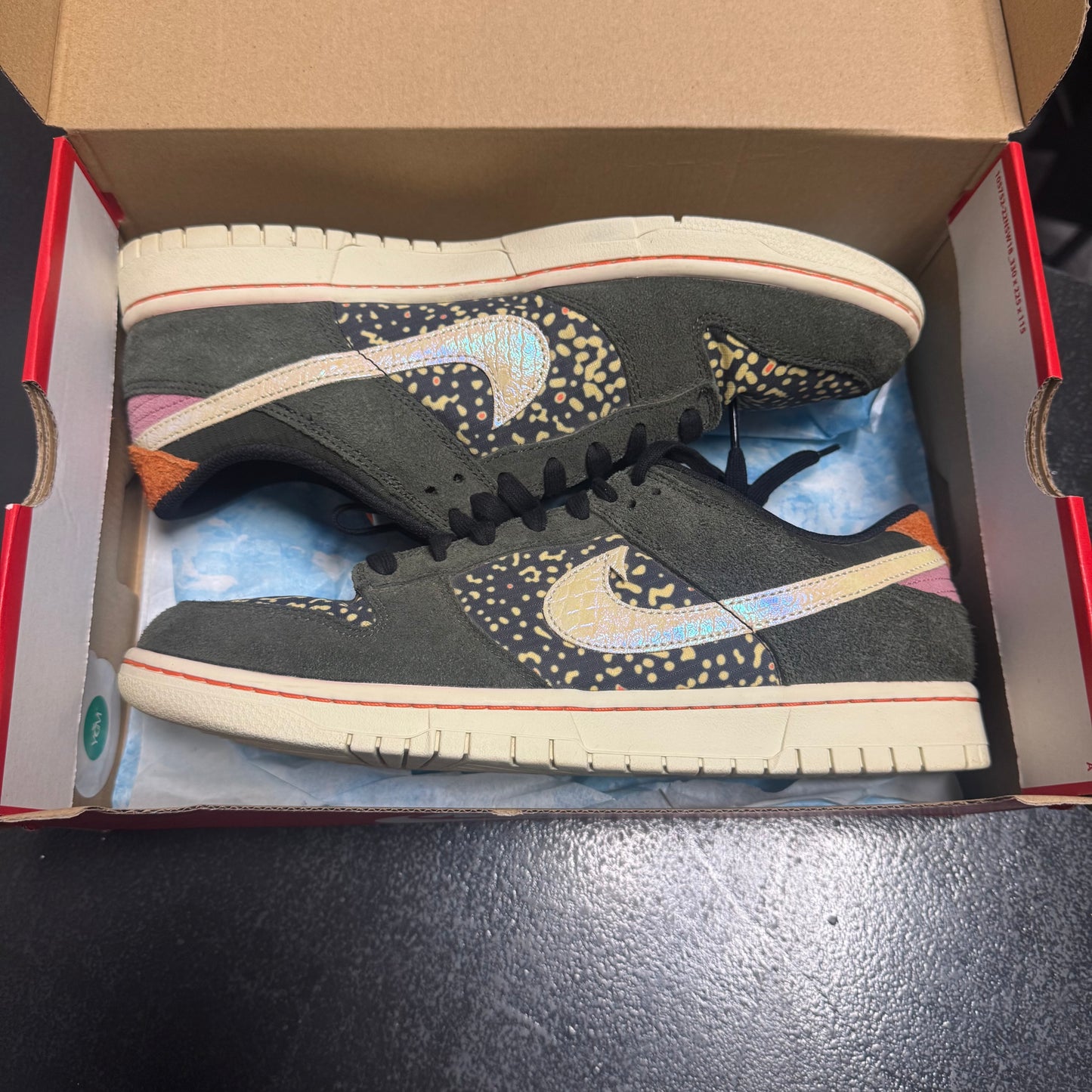 Dunk Low Rainbow Trout / Preowned
