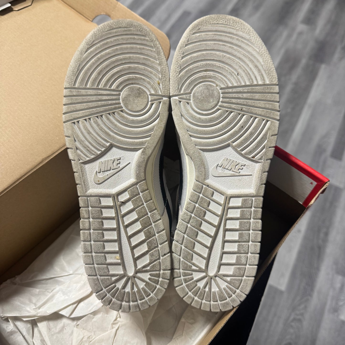 Dunk Low Certified Fresh / Preowned