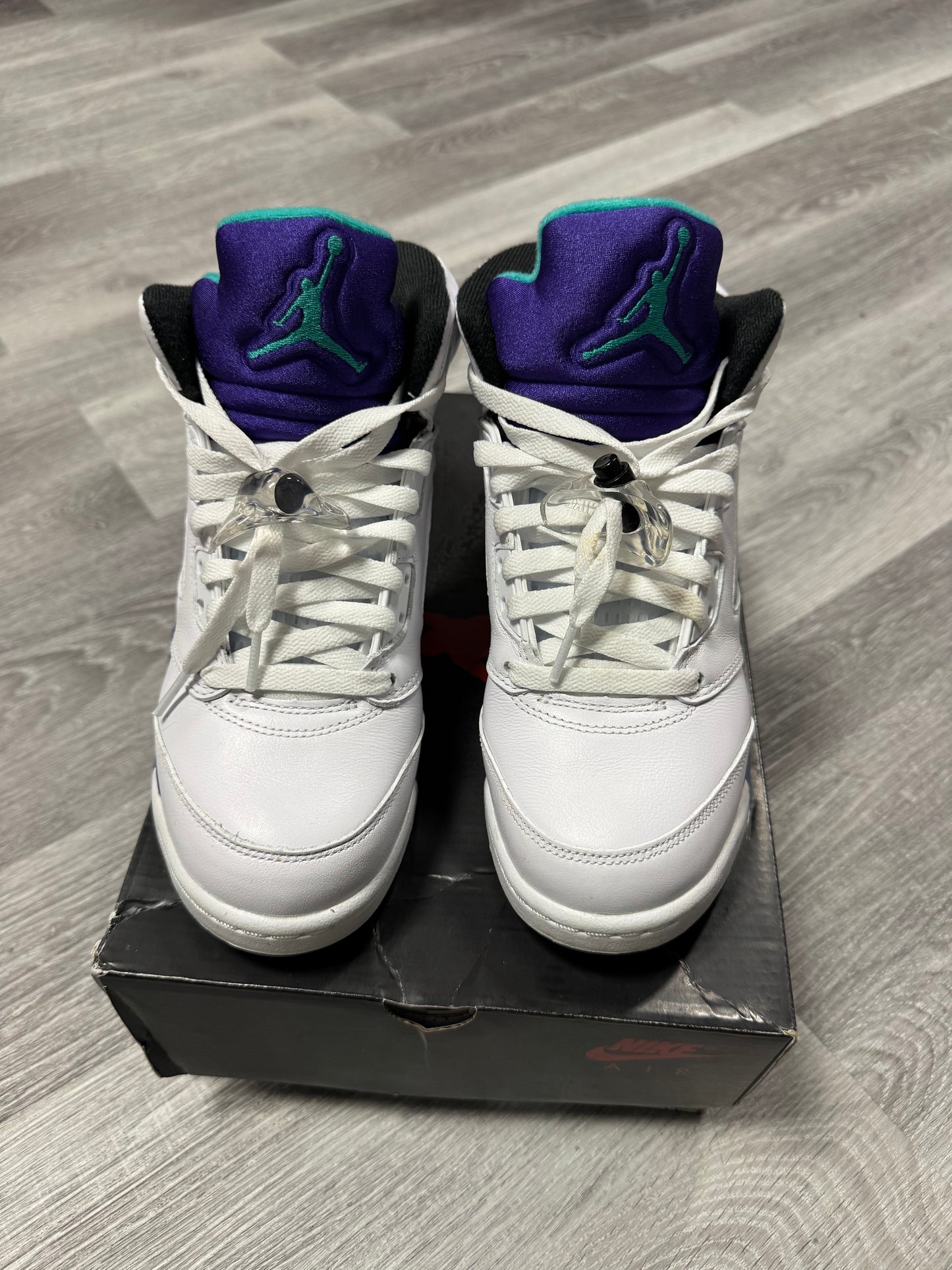 Jordan 5 Grape (2025) / Preowned
