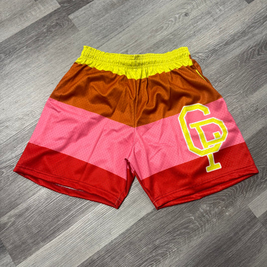 Crispy NYC Logo Mesh Shorts (Multicolor)
