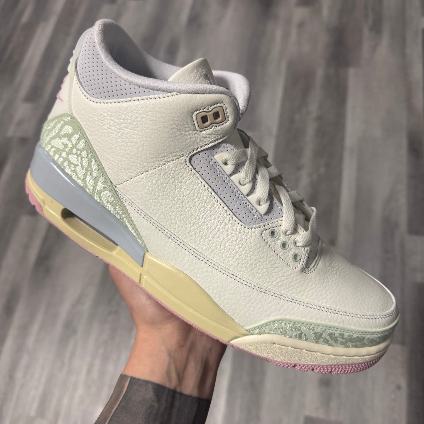 Jordan 3 Spring Is In The Air / Brand New