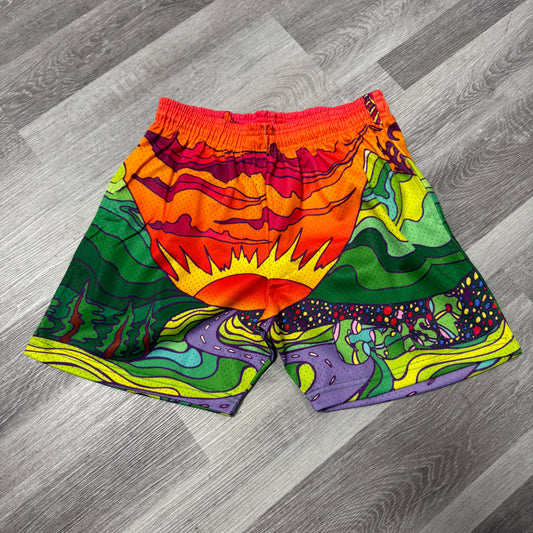 Crispy NYC Trippy Sunset Mesh Shorts