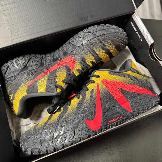 Nike Ja 3 Jurassic Park Raptor / Preowned