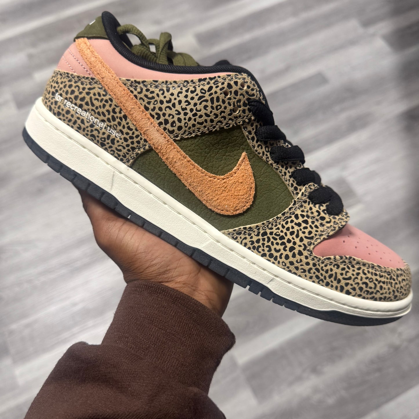 Nike SB Dunk Low Arts Rec / Brand New