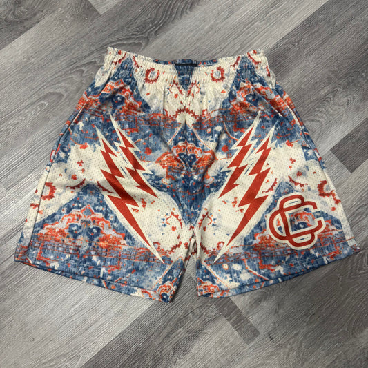 Corrupted Creative Distressed Mesh Shorts