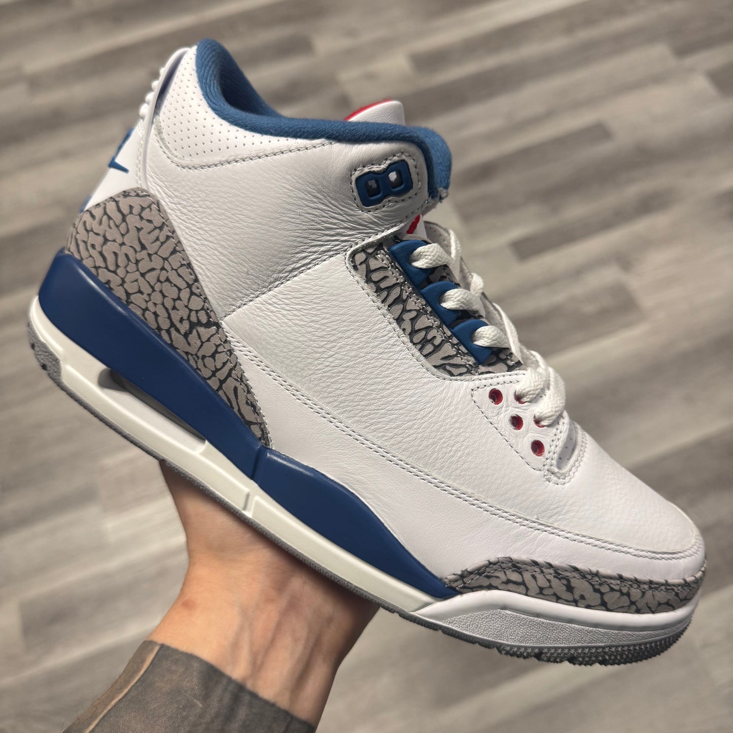 Jordan 3 True Blue (2026) / Brand New