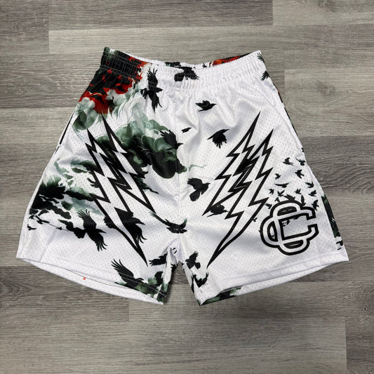 Corrupted Creative Japanese Art Mesh Shorts