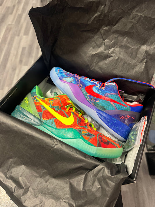 Kobe 8 What The / Preowned
