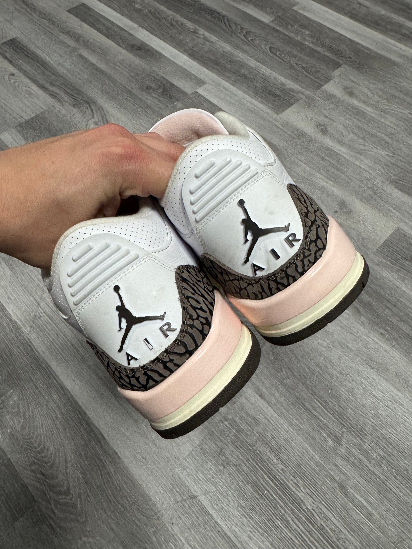 Jordan 3 Neapolitan / Preowned