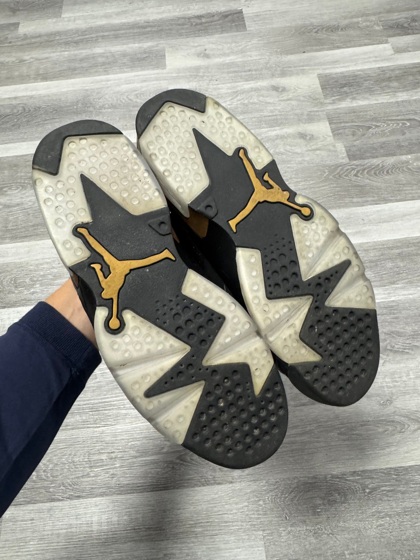 Jordan 6 DMP / Preowned