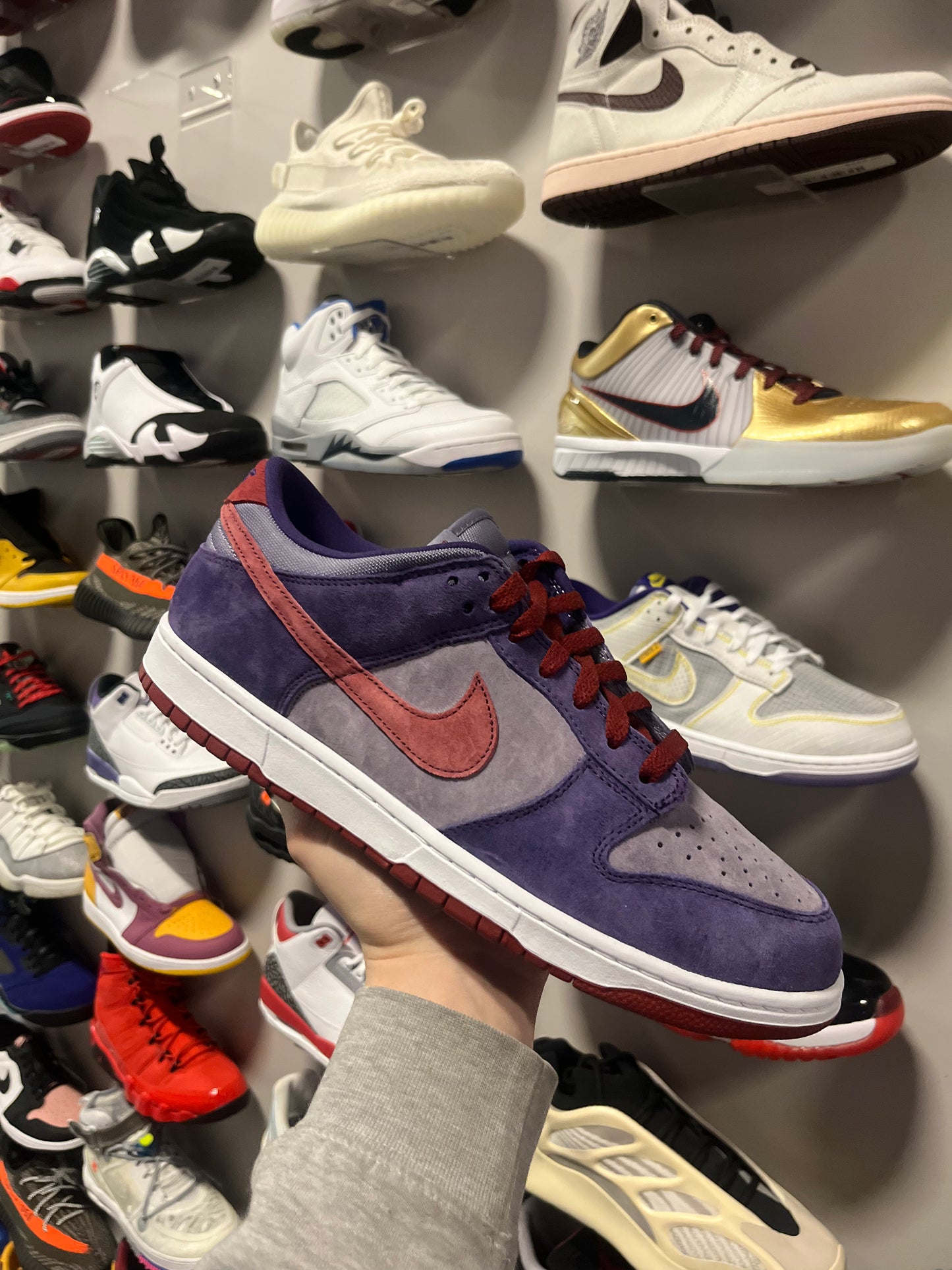 Dunk Low Plum / Brand New