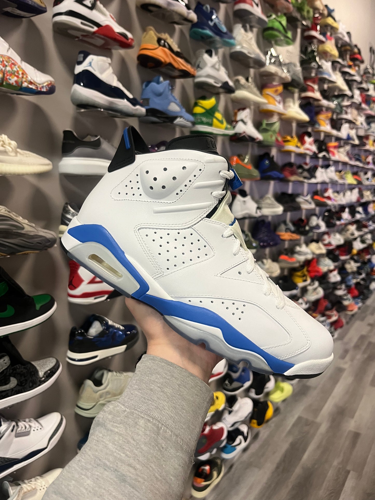 Jordan 6 Sport Blue / Brand New