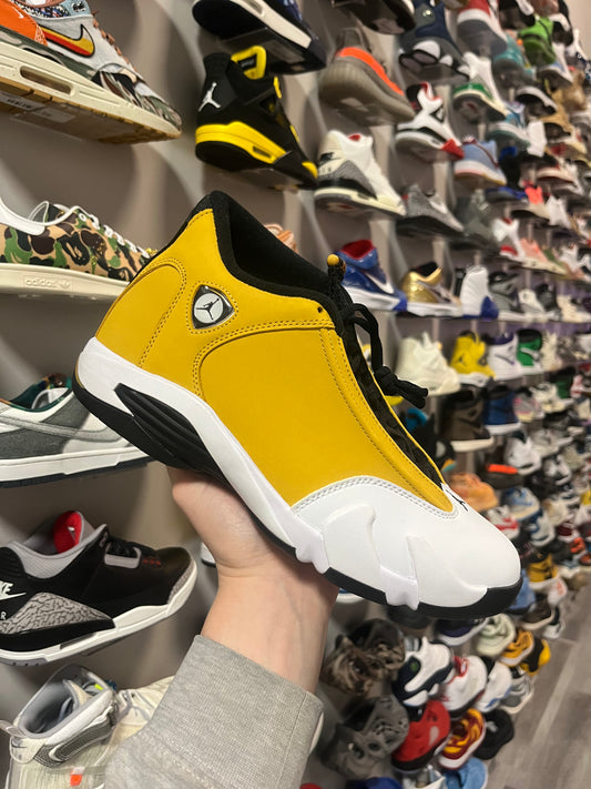 Jordan 14 Ginger / Brand New