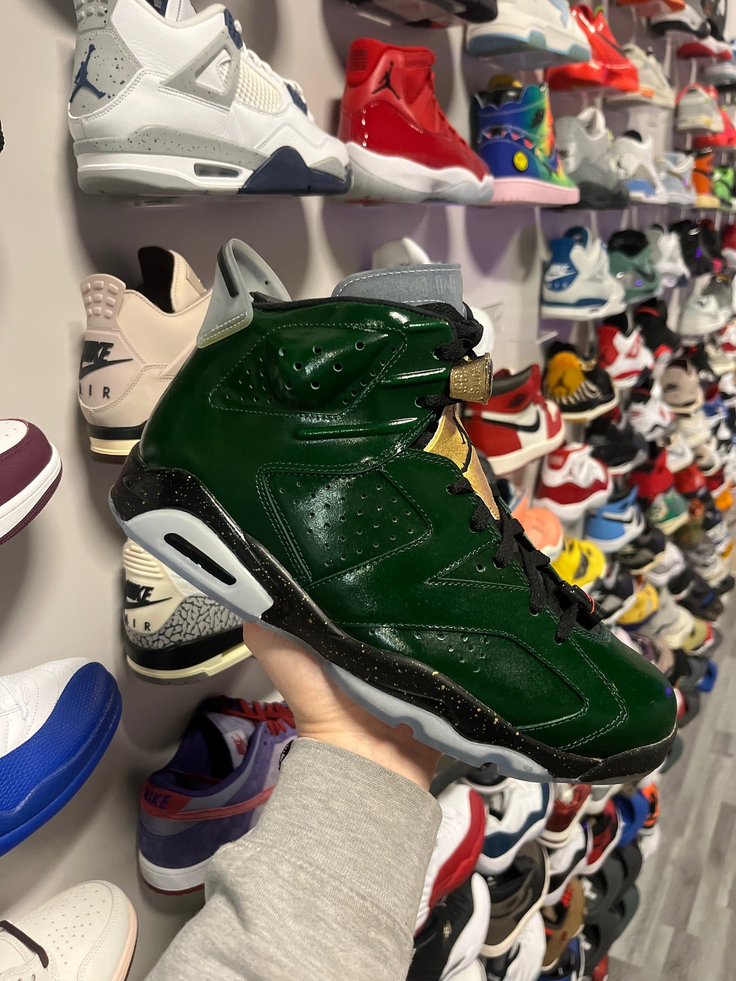 Jordan 6 Champagne / Brand New