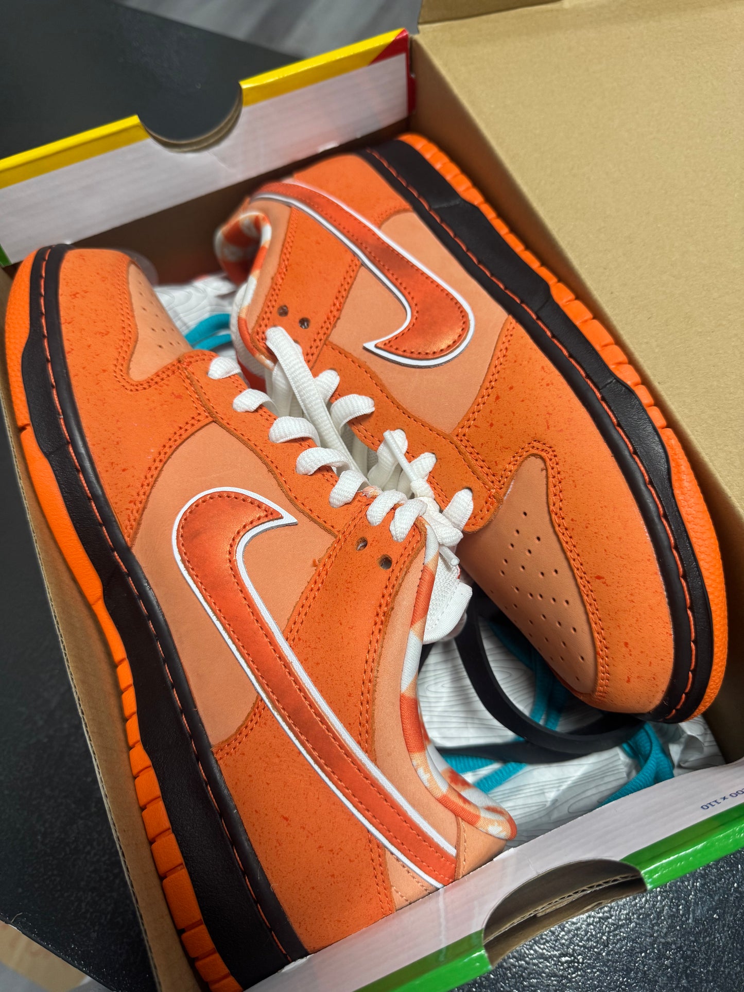 Dunk Low SB Orange Lobster / Preowned