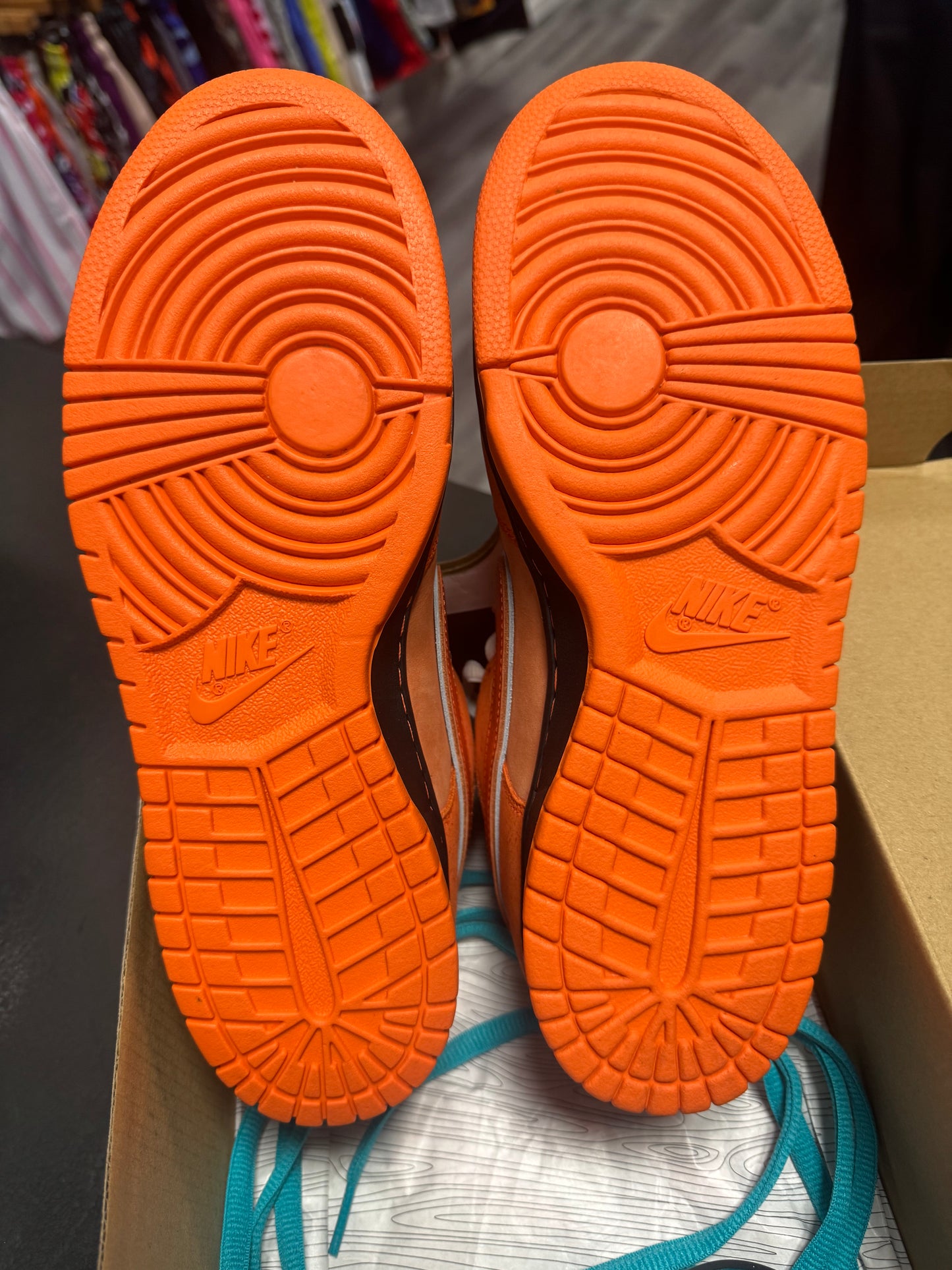 Dunk Low SB Orange Lobster / Preowned
