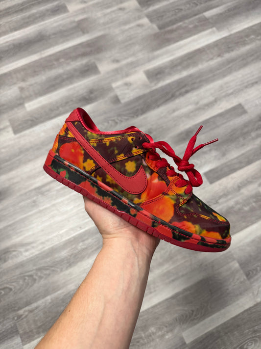 Dunk Low SB Wizard of Oz / Brand New