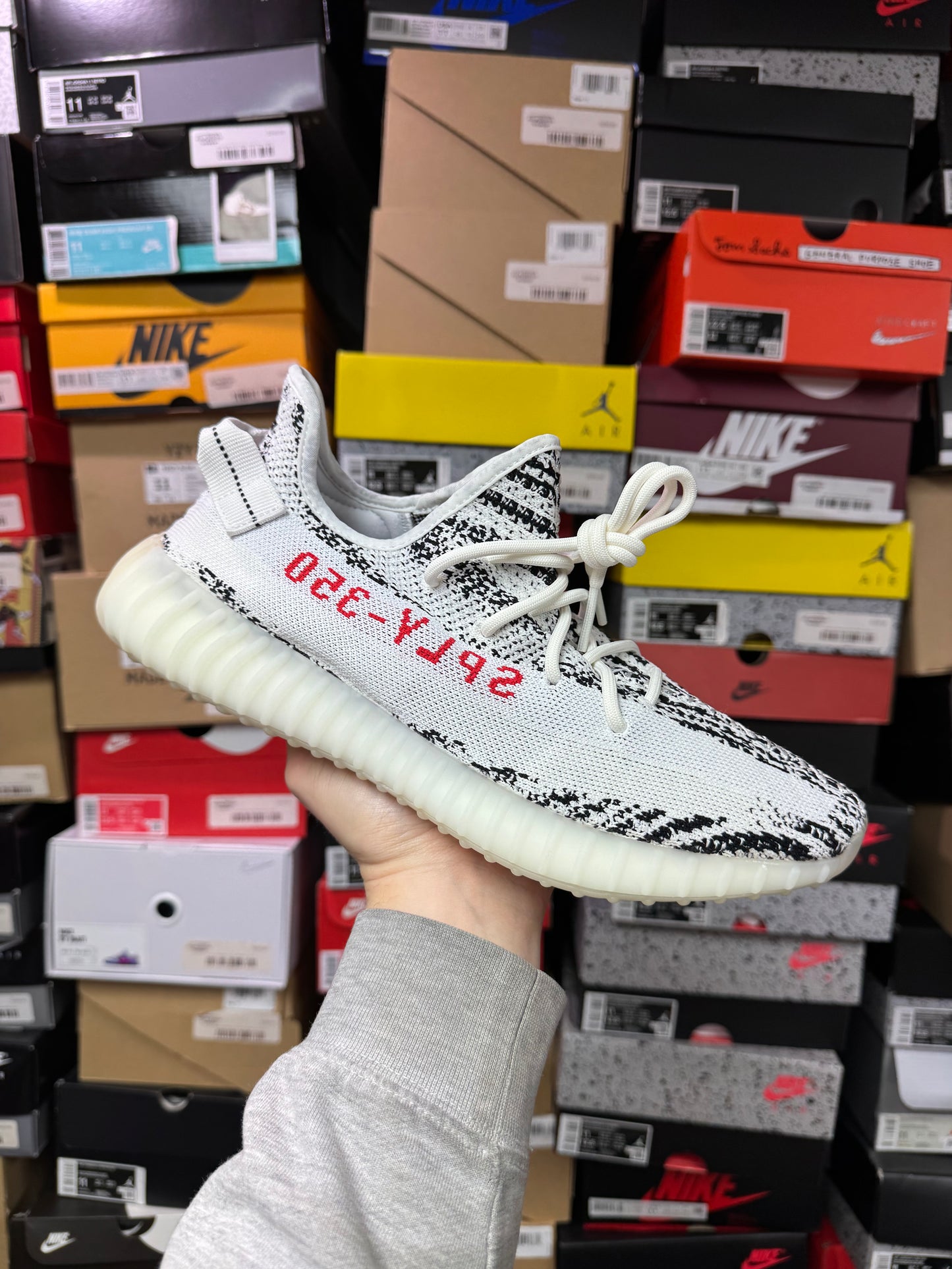 Yeezy 350 Zebra / Brand New