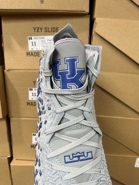 Lebron 17 Grey Kentucky PE / Brand New