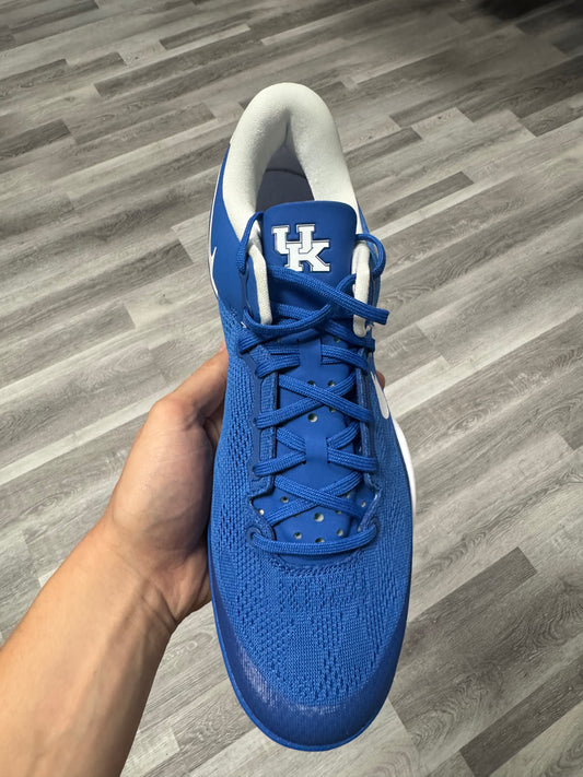 Kobe 8 Kentucky PE / Brand New